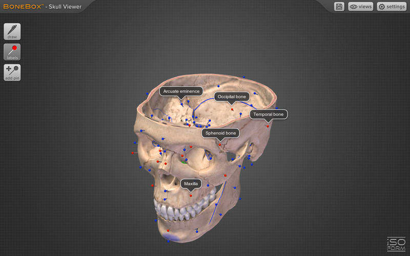 ダウンロード BoneBox - Skull Viewer をインストールする 最新 アプリ ダウンローダ