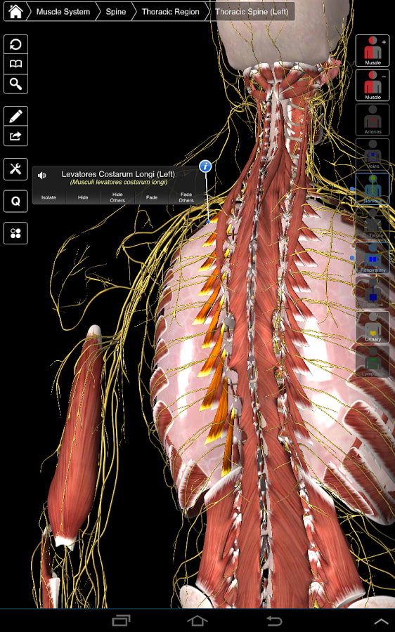 essential anatomy 3 app