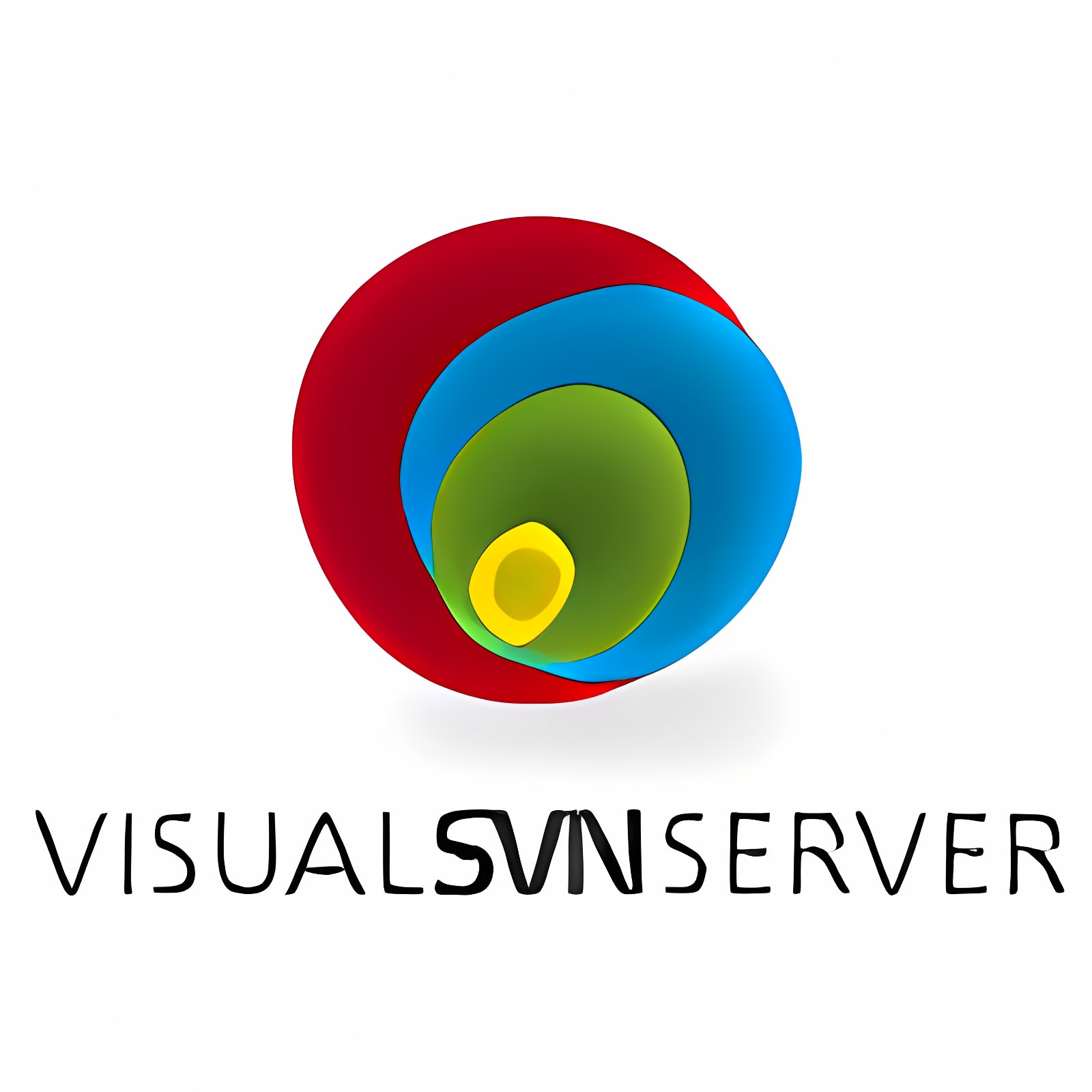 visualsvn server license key