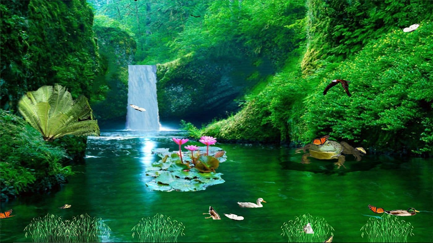 Tropical Waterfall Animated Wallpaper - Download