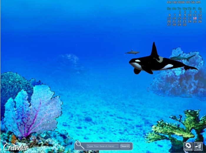 screensaver marine aquarium