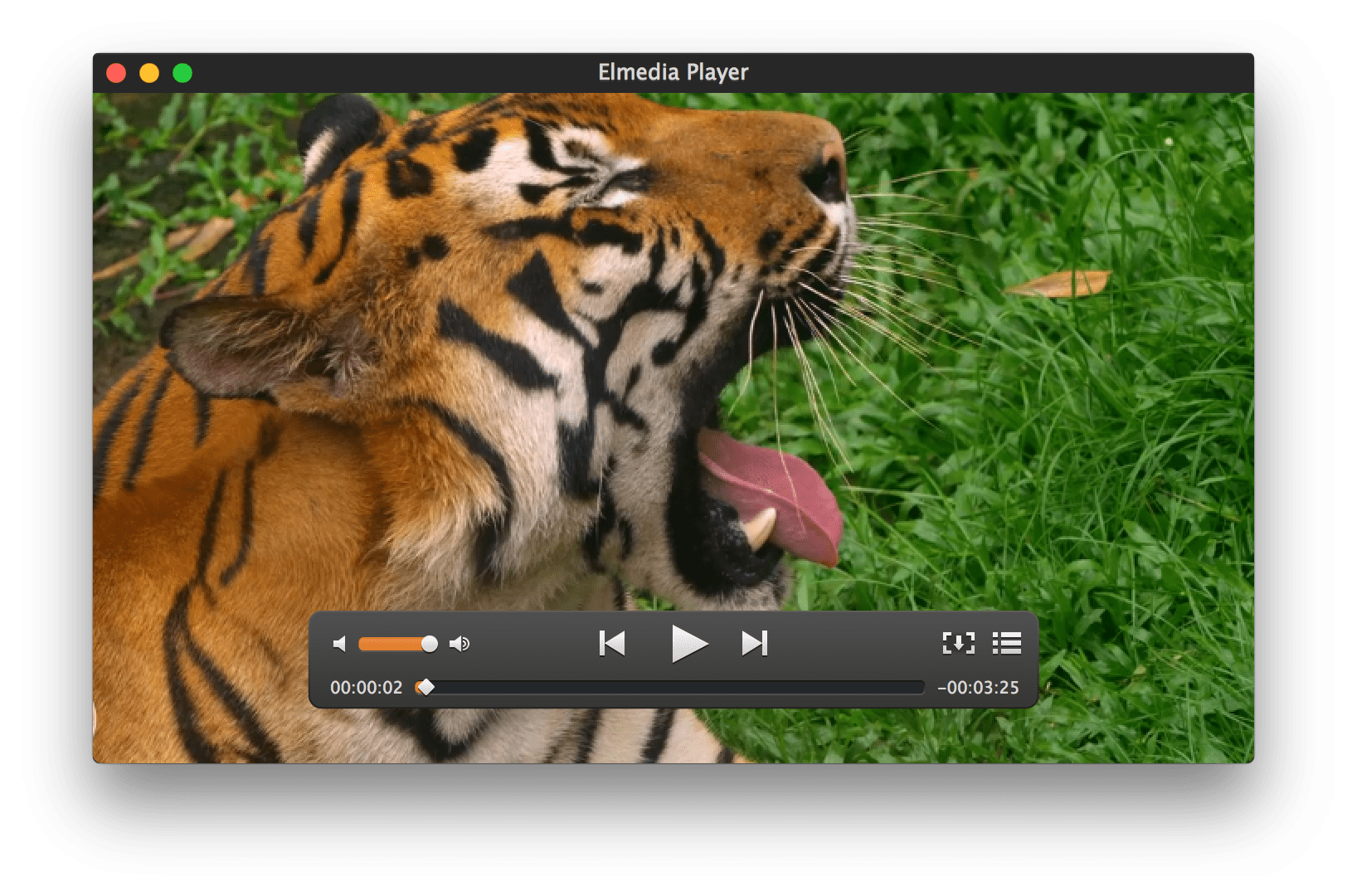 elmedia video player move forward 15 seconds