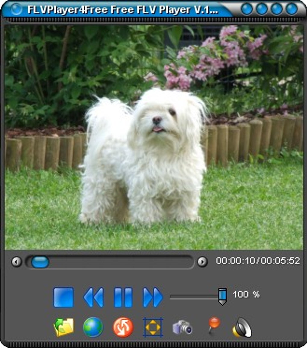 Flash Video Chat