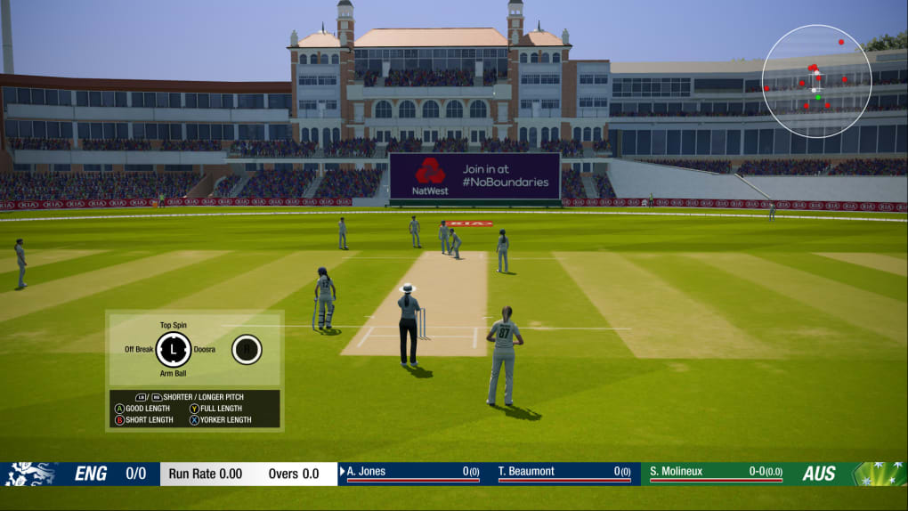 Cricket 19 - Download