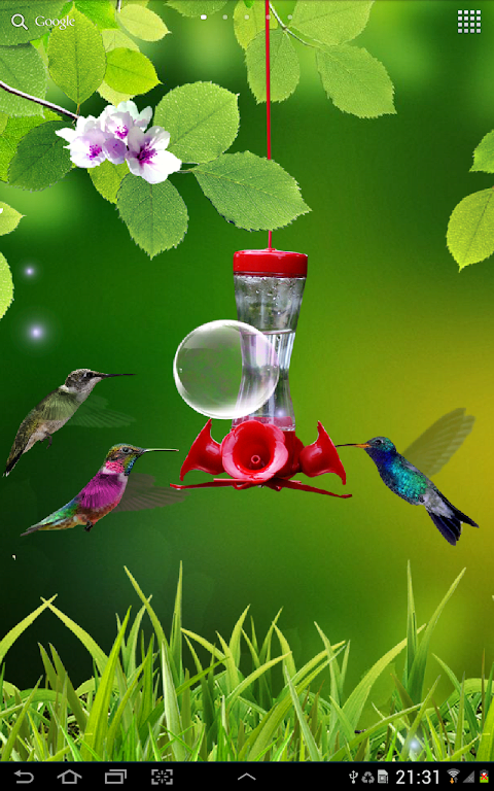 Hummingbirds wallpaper APK для Android — Скачать