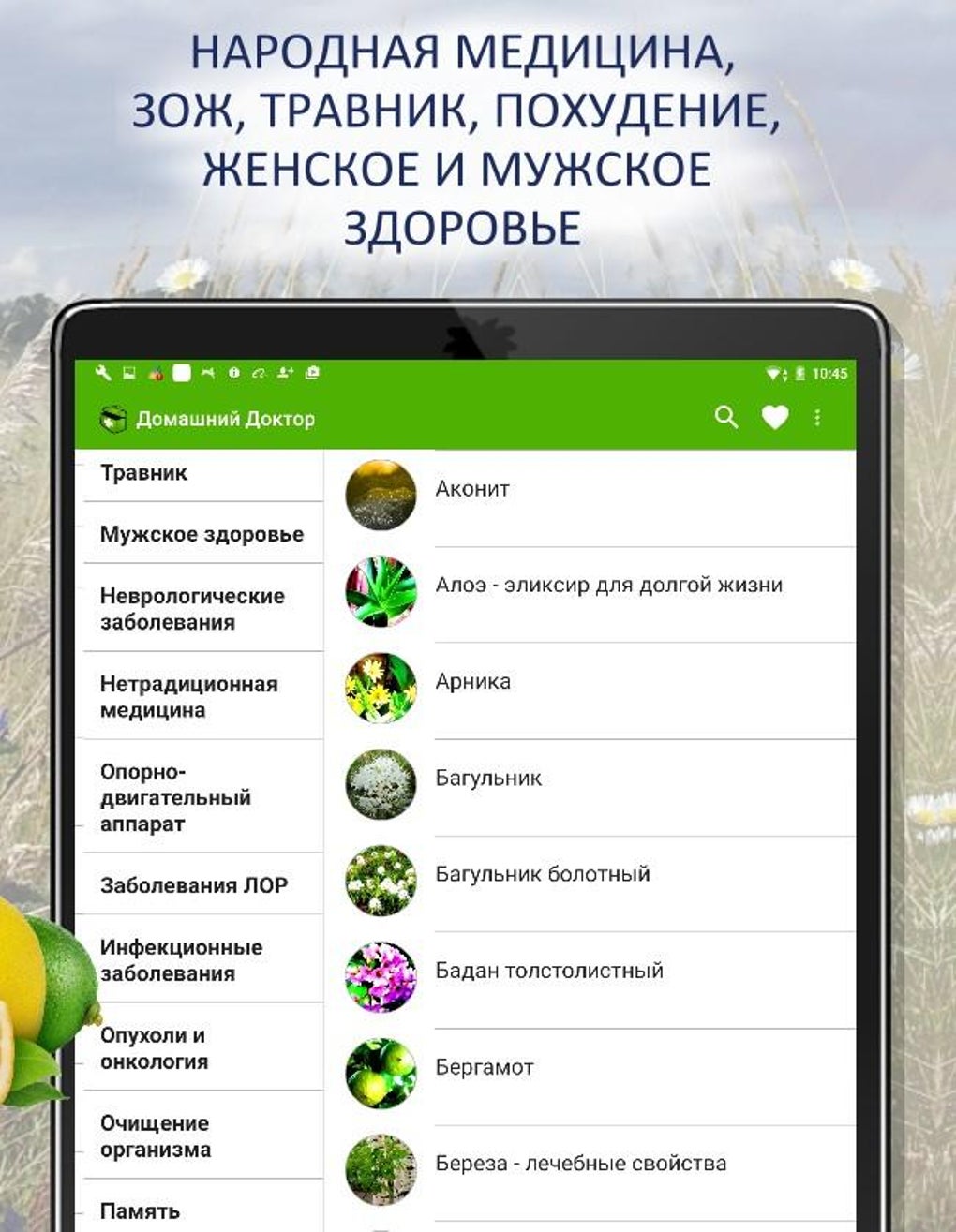 Народные рецепты здоровья и кр для Android — Скачать