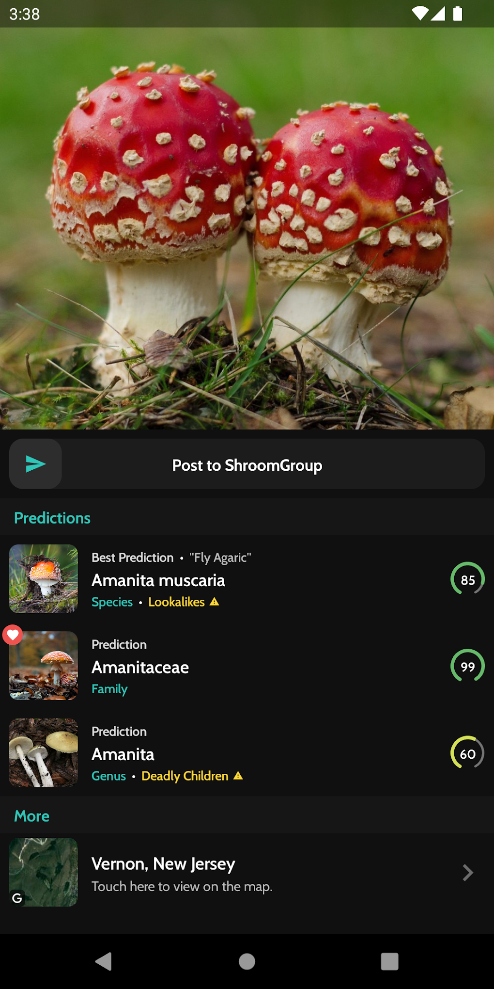 ShroomID - Identify Mushrooms APK для Android — Скачать