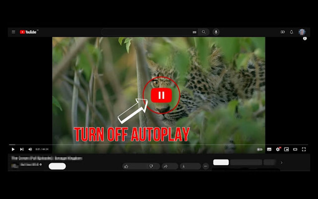 YouTube Turn Off Autoplay For Google Chrome - Extension Download