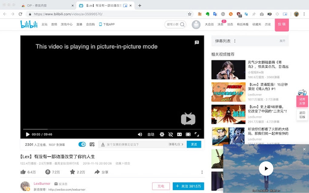 CIP - Picture In Picture (AKA. PIP) player for Google Chrome ...