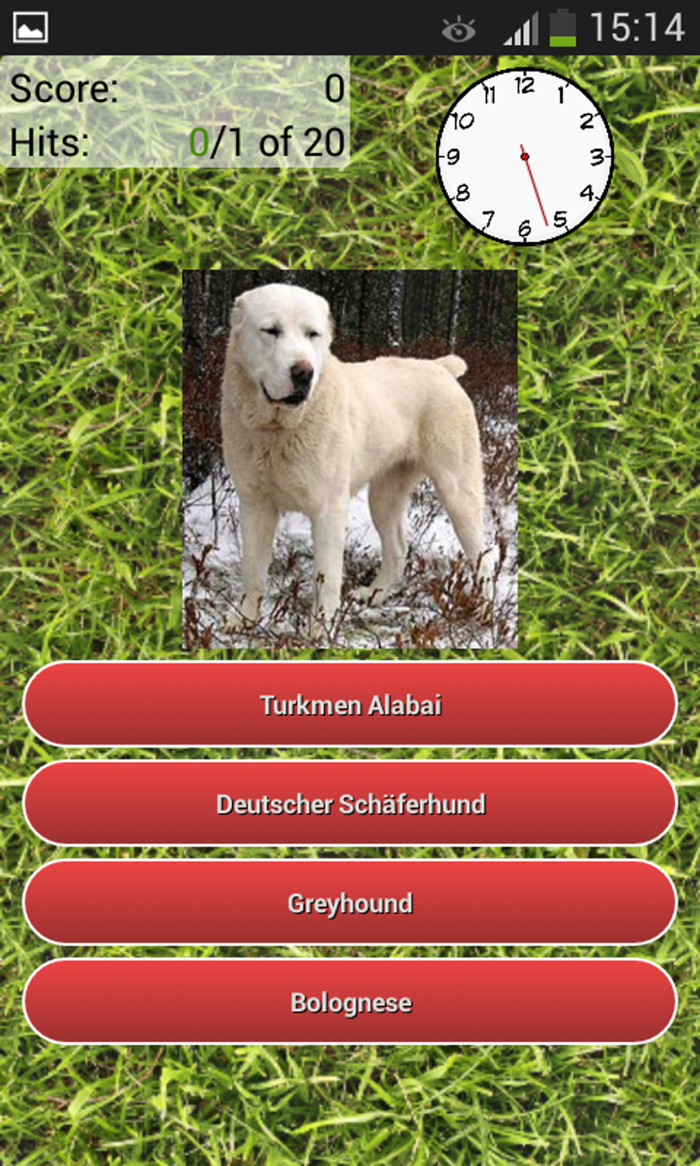 Dog Breeds Quiz APK для Android — Скачать