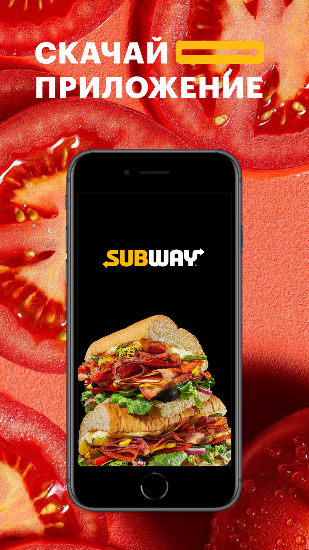 Subway Russia для iPhone — Скачать