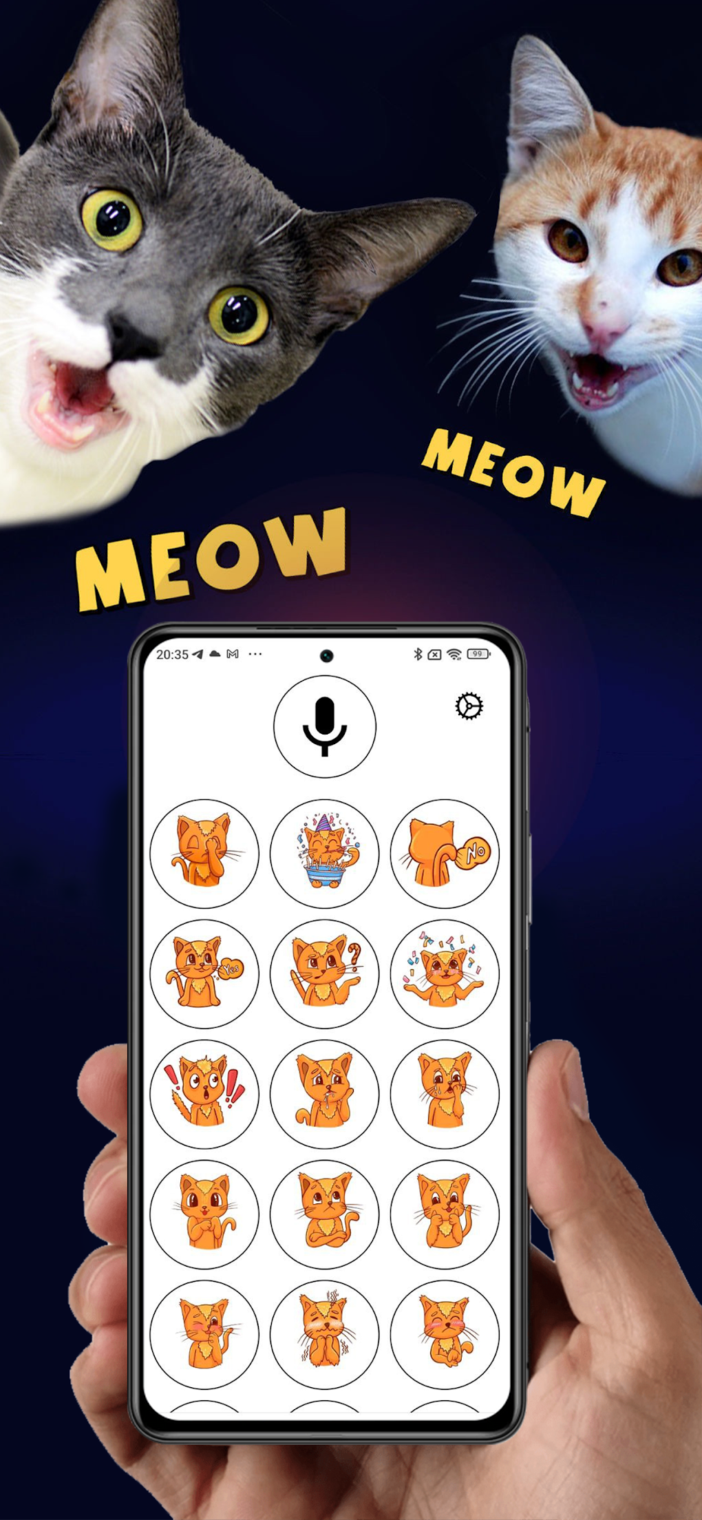 Tradutor humano-gato: como usar o app para 'conversar' com seu felino