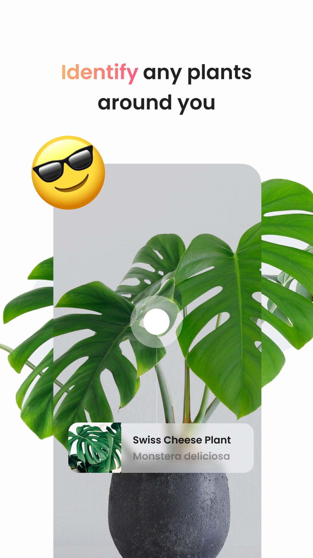 PlantIn Plant Identifier para iPhone Descargar