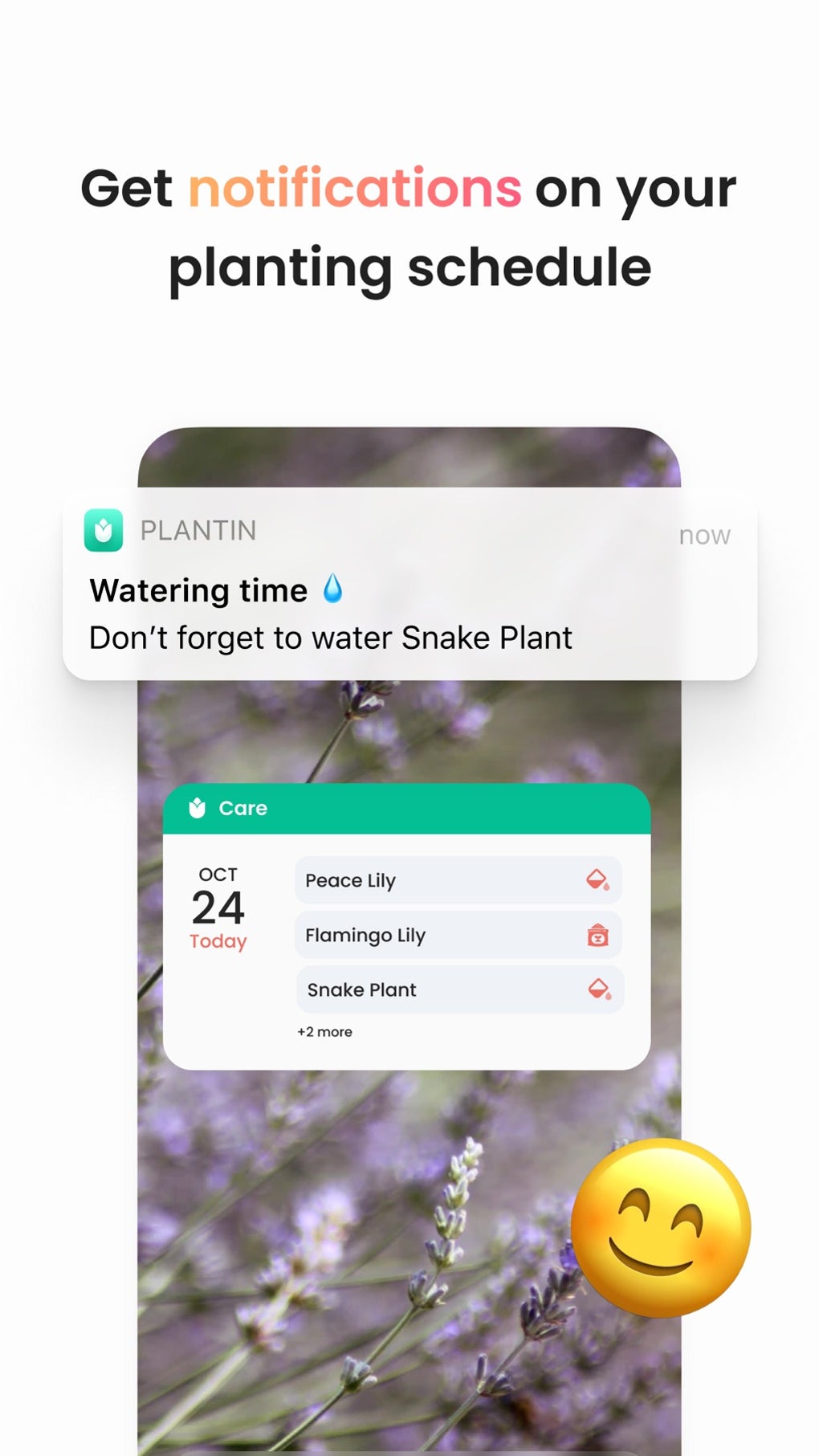 PlantIn: Plant Identifier Para IPhone - Descargar