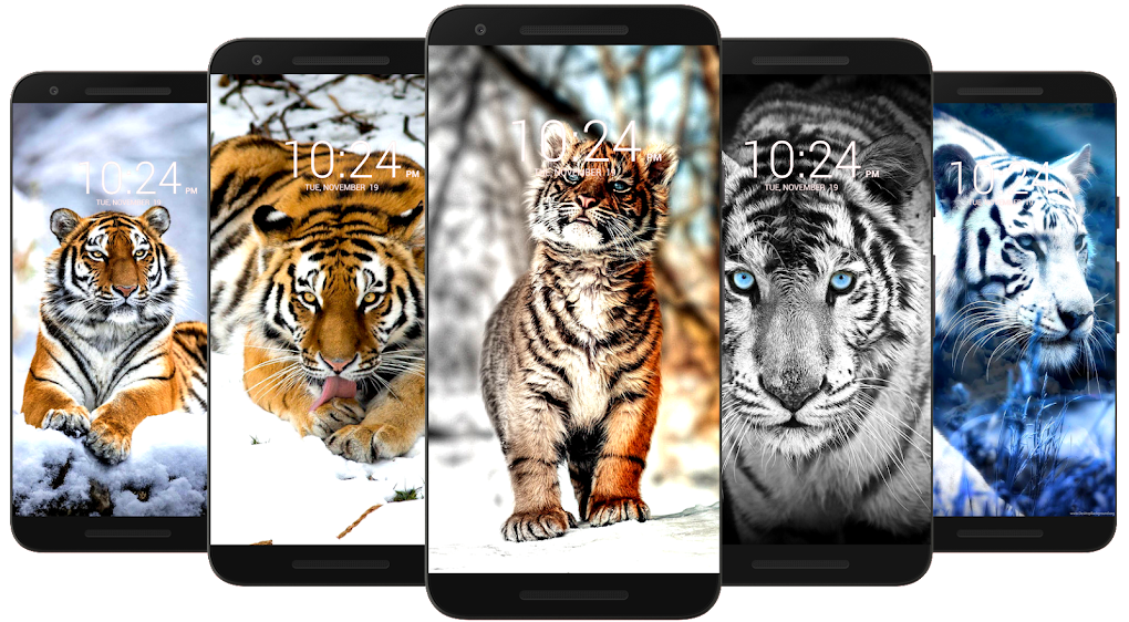 Tiger Wallpaper HD 4K for Android - Download