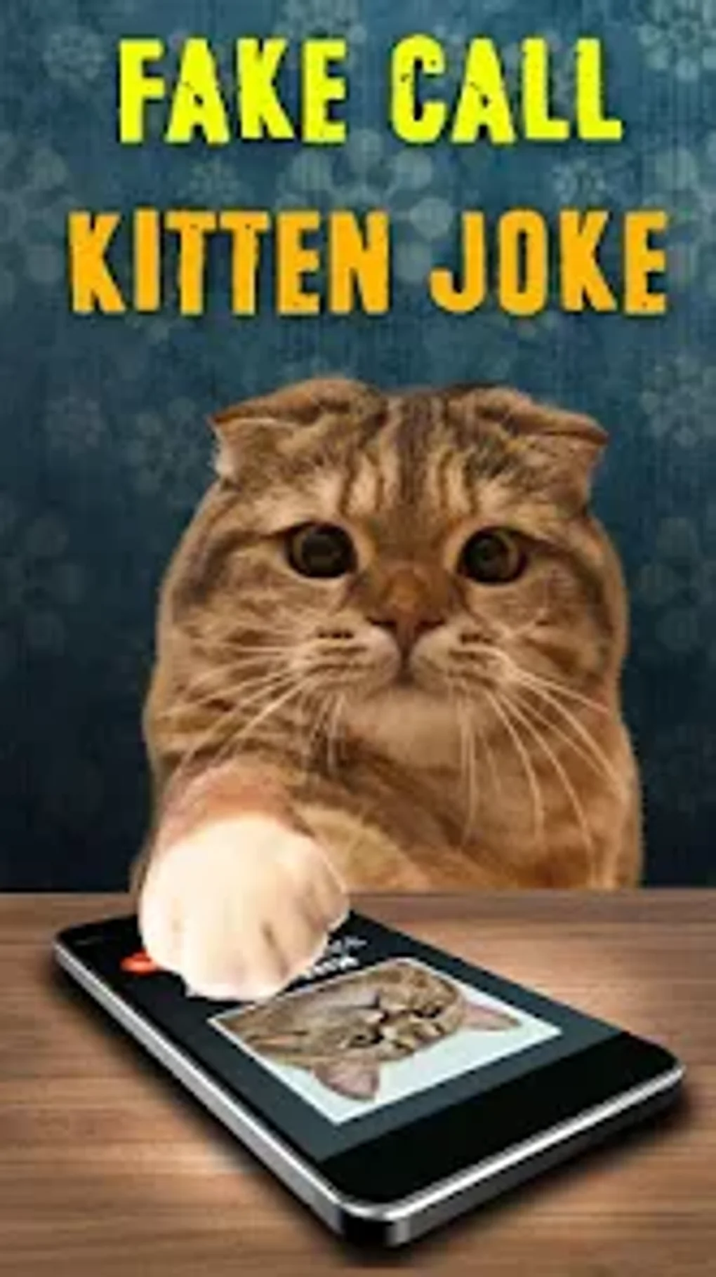 Fake Call Kitten Joke для Android — Скачать