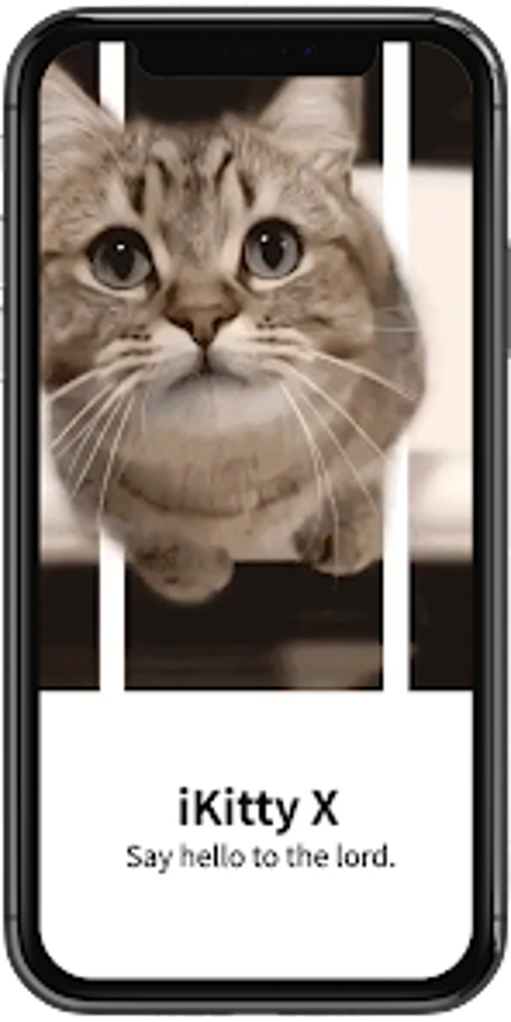 3D Cute Cat Live Wallpaper для Android — Скачать