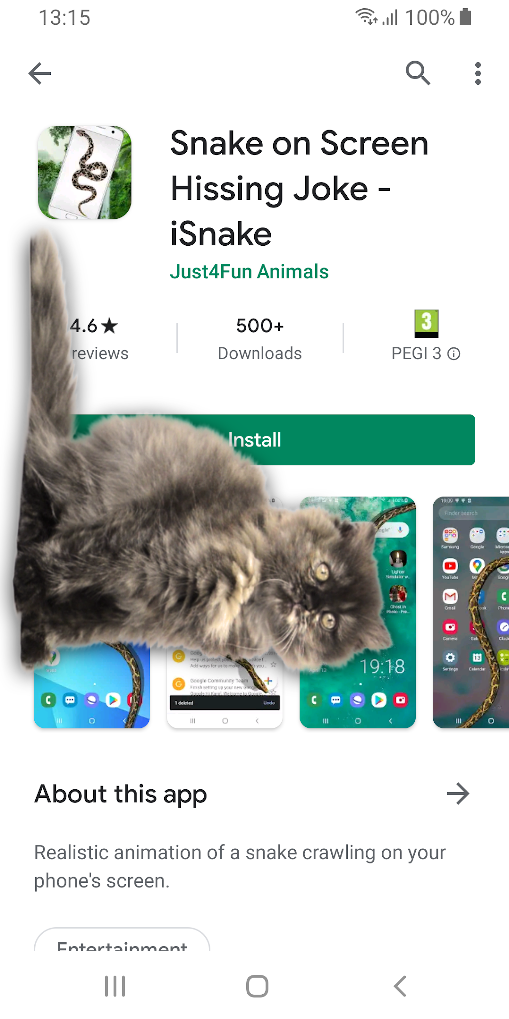 cat-walks-in-phone-cute-joke-icat-para-android-download