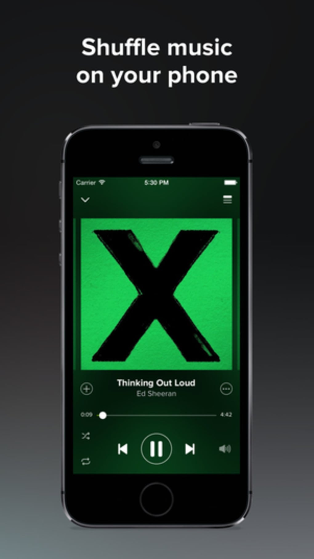 download the last version for iphoneSpotify 1.2.20.1216