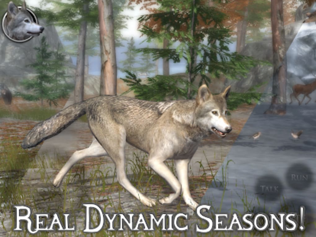 Wolf Life 2::Appstore for Android