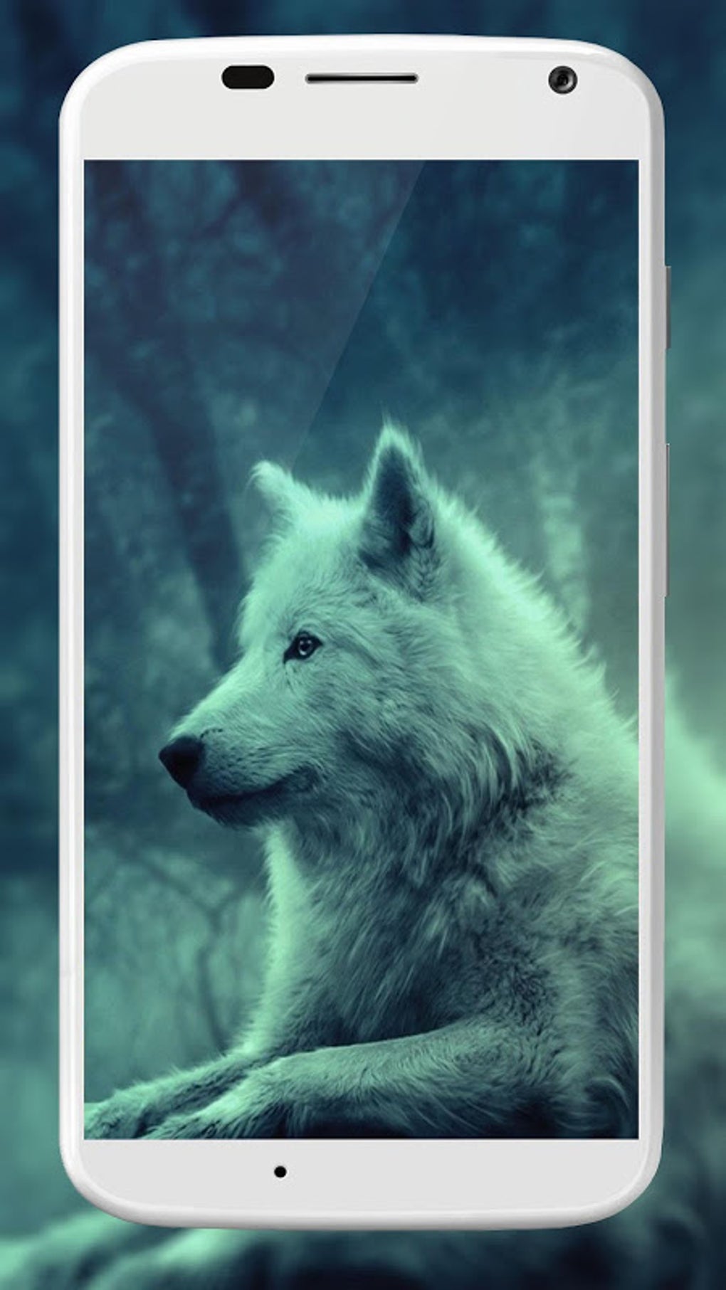 Wolf Wallpaper APK для Android — Скачать