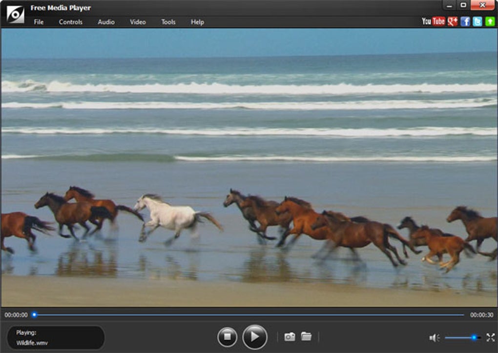 Free Media Player - Download