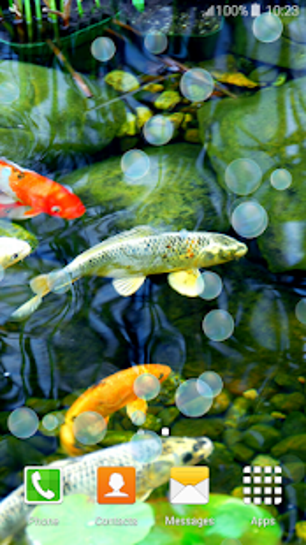 Koi Fish Live Wallpapers APK for Android - Download