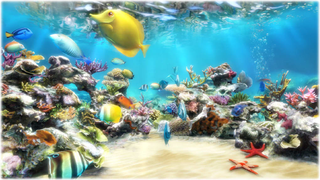Clownfish Aquarium Live Wallpaper 無料 ダウンロード