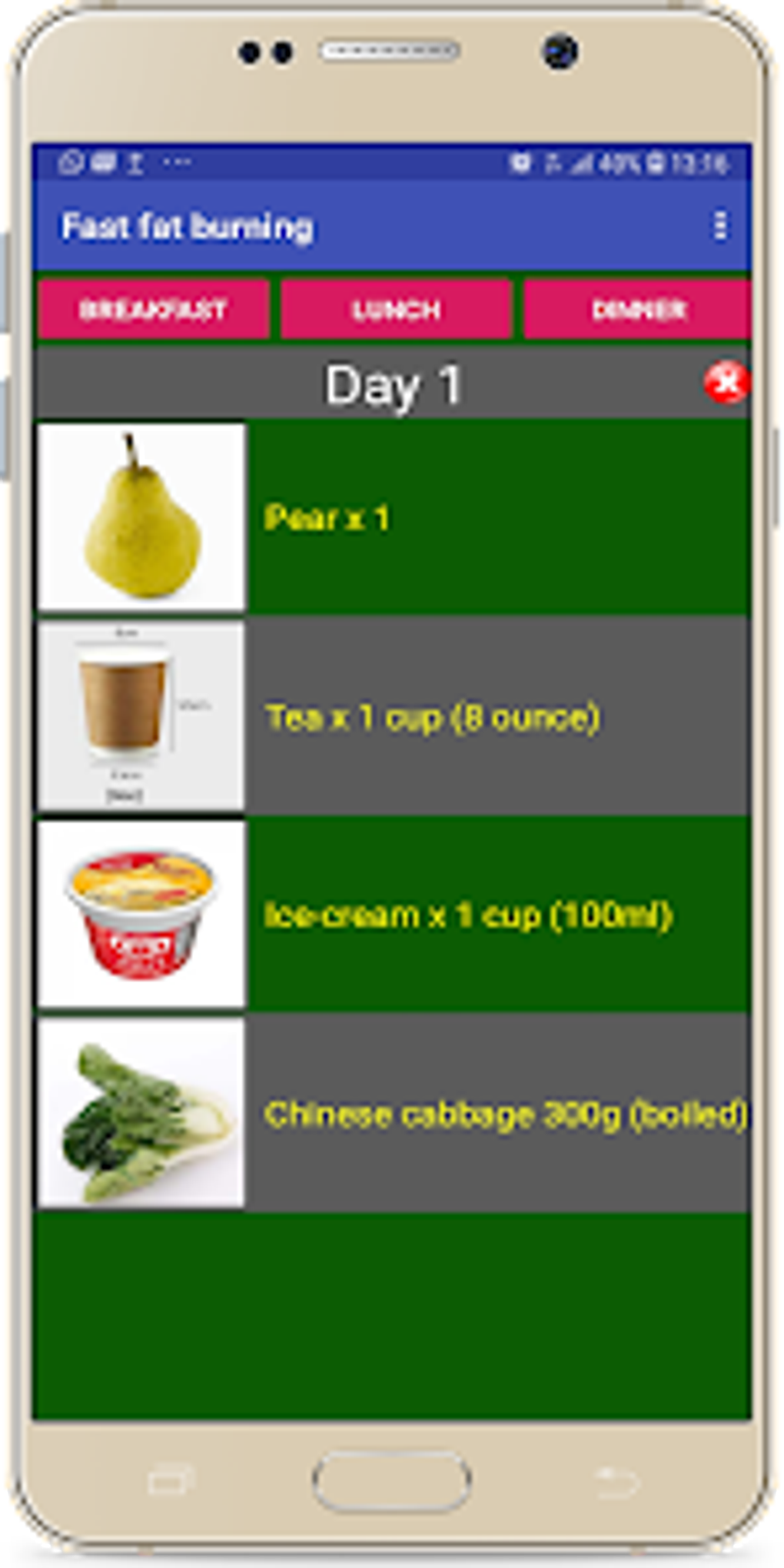 fast-fat-burning-diet-plan-for-android-download