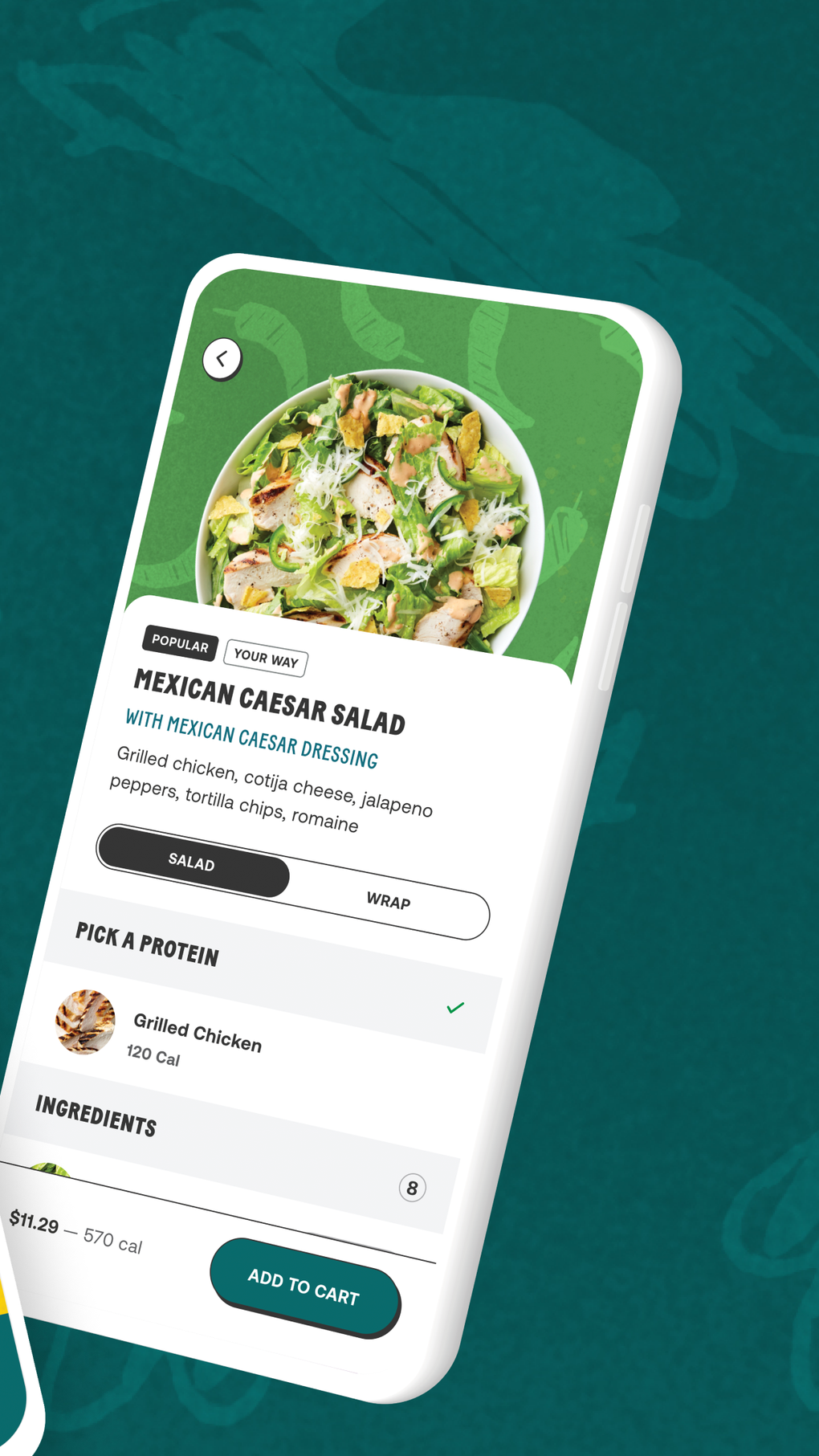 CHOPT for iPhone Download