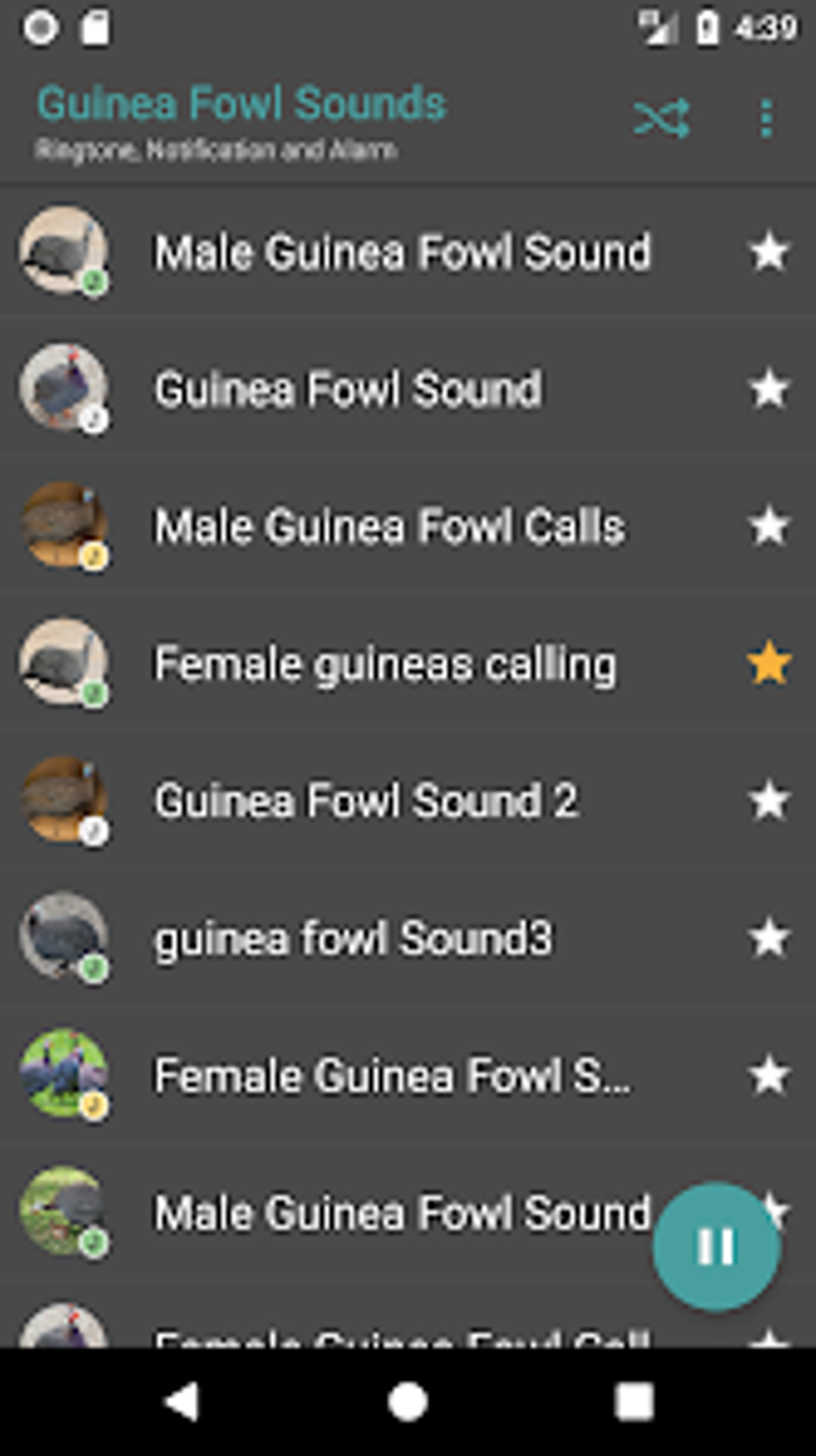 Guinea Fowl Sounds Calls สำหรับ Android - ดาวน์โหลด