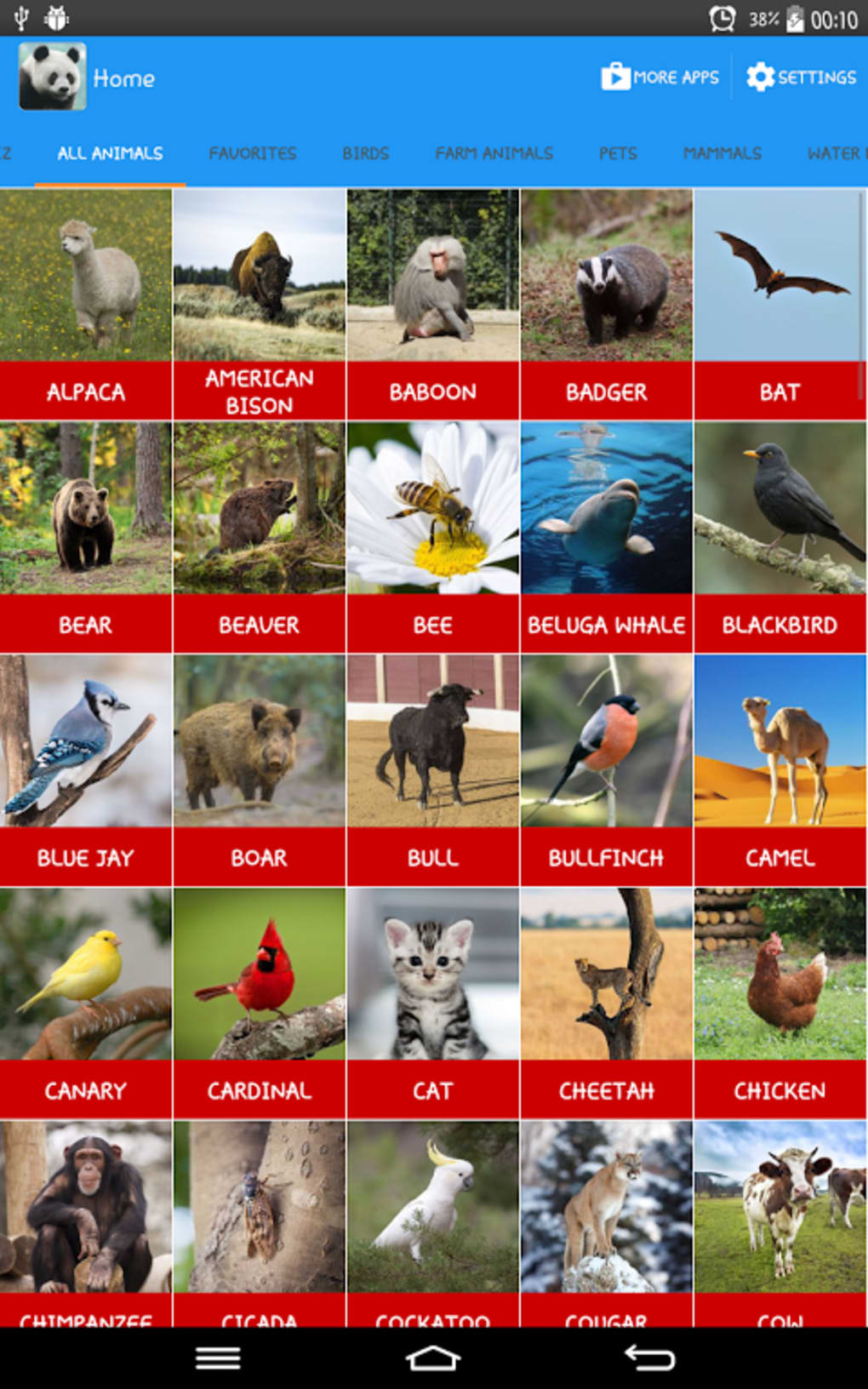 Quiz sobre animais com perguntas e respostas #quiz #animais #animal #p