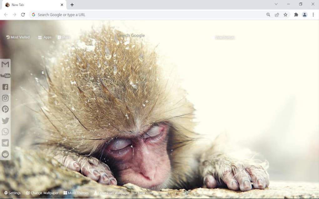 Funny Monkey 3D Live Wallpaper  Ứng dụng trên Google Play
