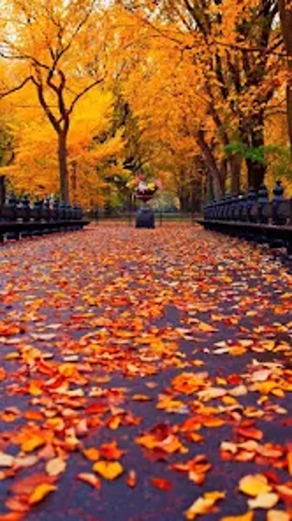 Autumn Live Wallpaper for Android - Download