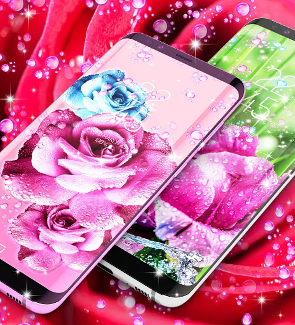 Rose pink water drop live wallpaper APK for Android - Download