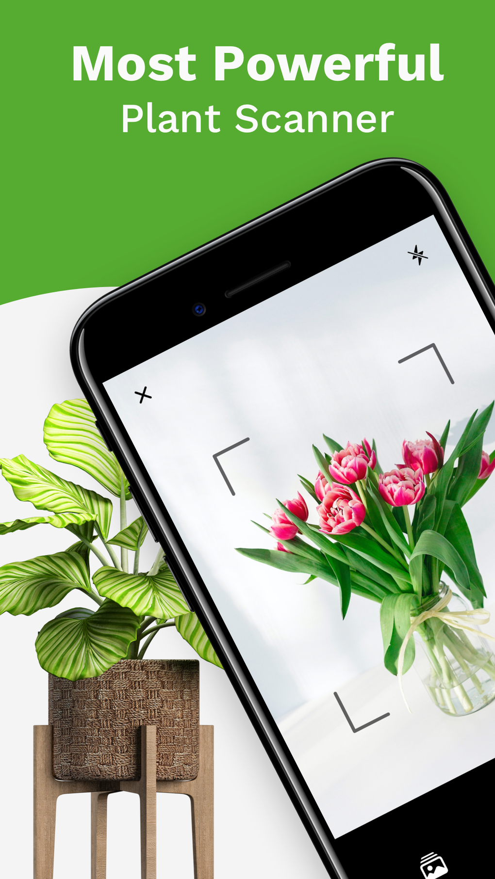 Ai Plant Identifier : PlantID for iPhone - Download