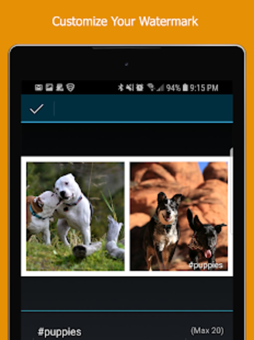 Picplaypost Photo Video Collage Maker Editor For Android Download