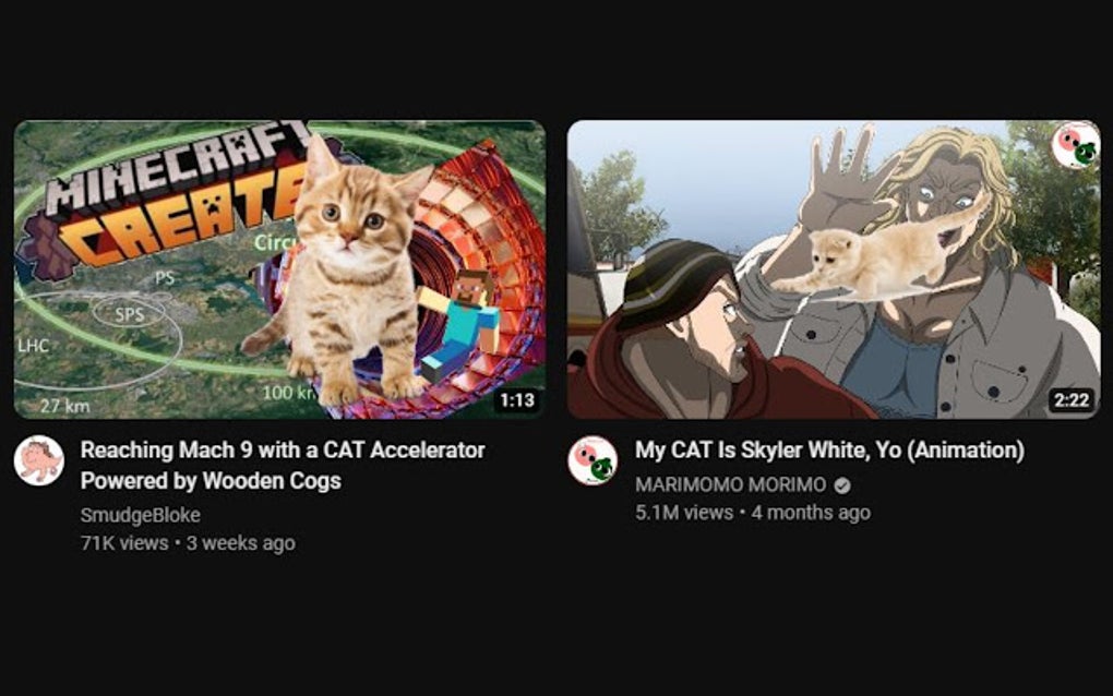 Catify for Google Chrome - Extension Download