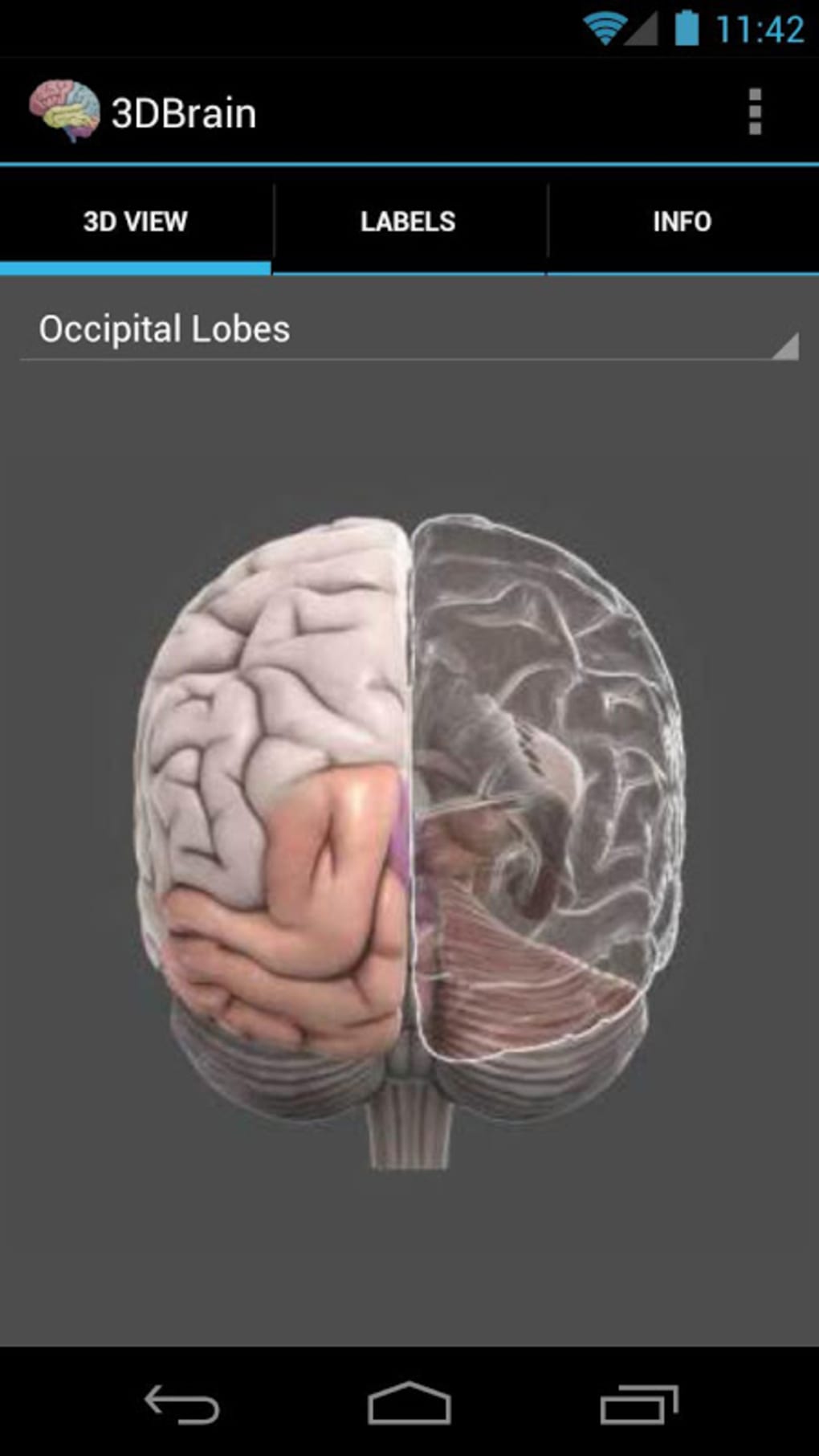 Brain apk. Мозг андроида. Приложение Brain. 3d модель мозга интерактивная. Проверь свой мозг.