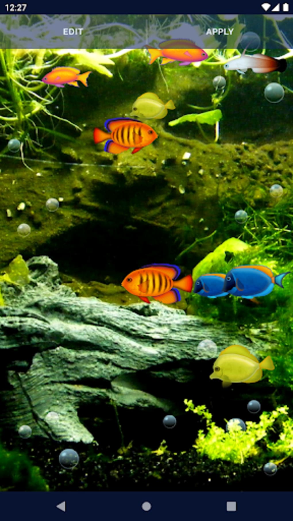 About: Koi Fish Live Wallpaper 4d: Koi Free Live Theme HD (Google Play  version) | | Apptopia
