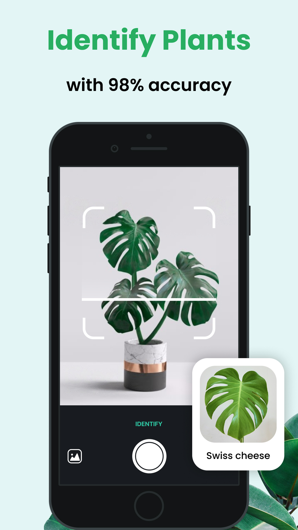 PlantCam: Plant Identifier for iPhone - Download