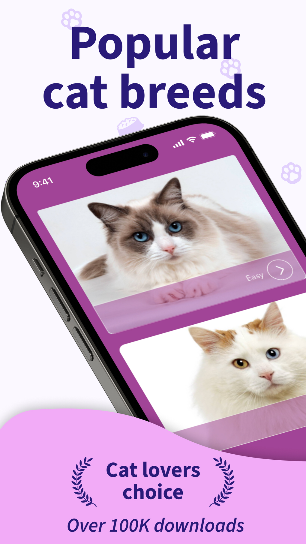 Cat Breed Games Dear My Kitten for iPhone Download