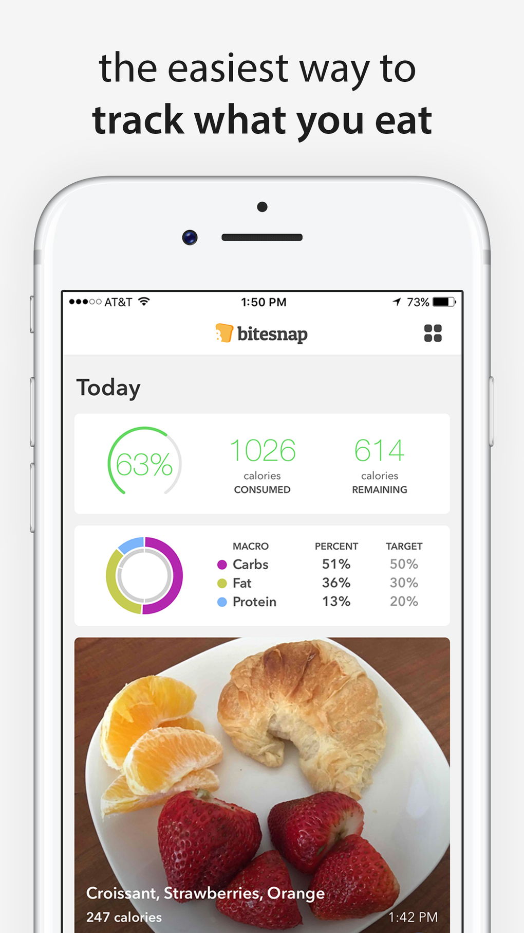 Bitesnap: Photo Food Journal for iPhone - Download