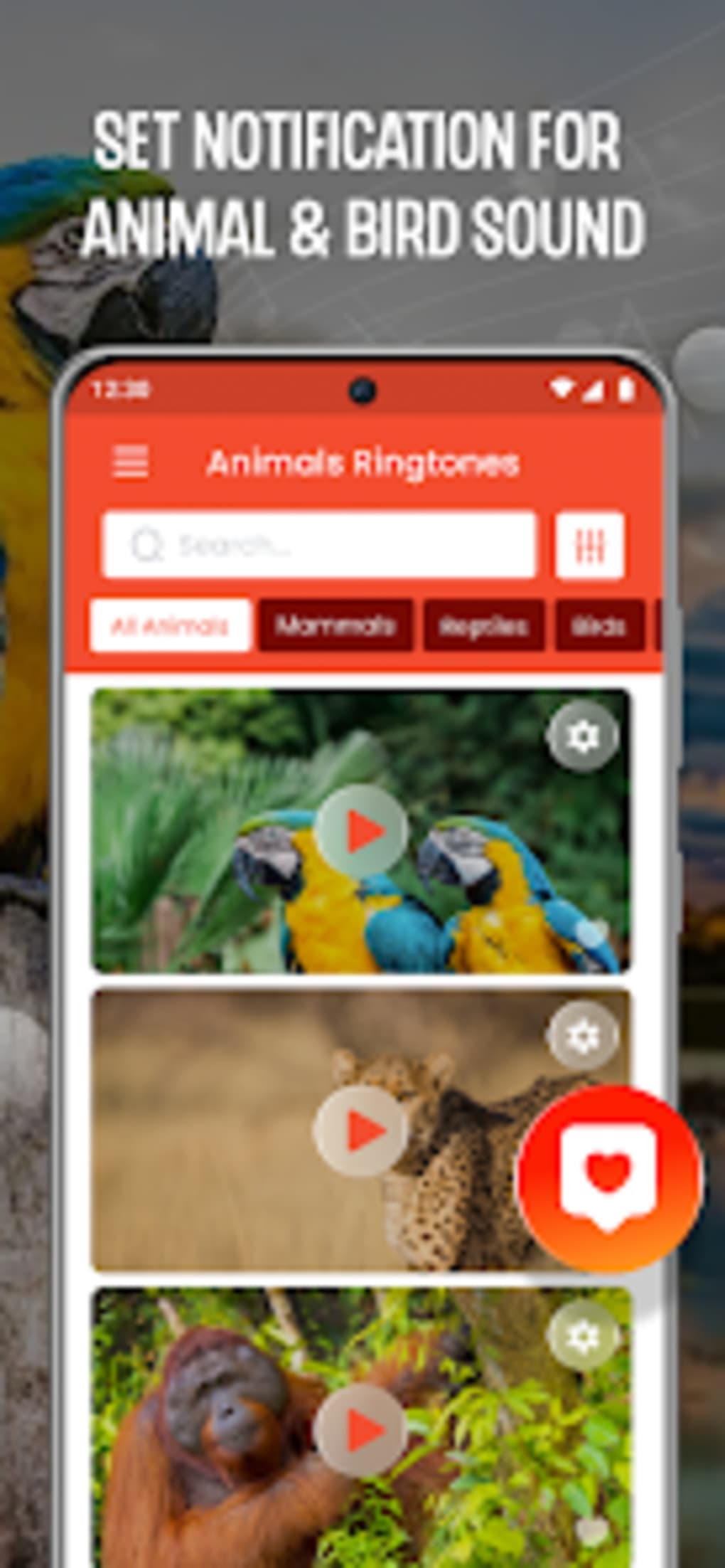 Animal Ringtone: Bird Ringtone for Android - Download