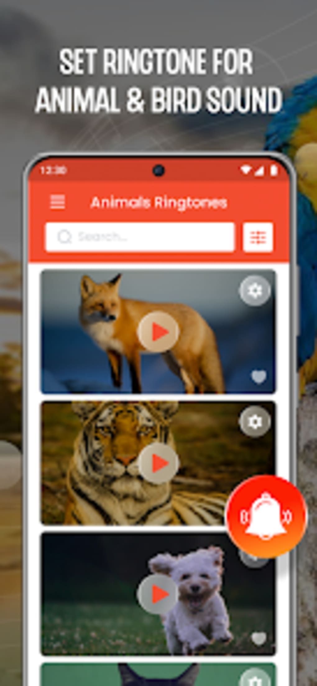 Animal Ringtone: Bird Ringtone for Android - Download