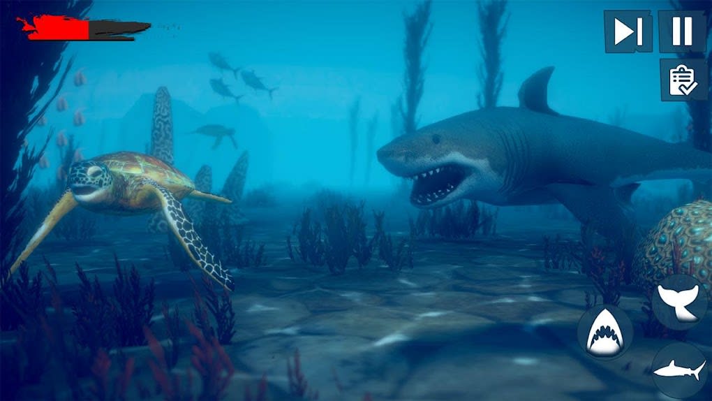 How Raft's shark feeds its survival game