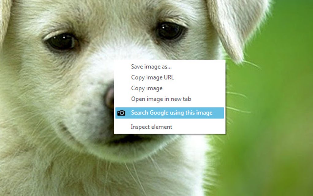 Google Image Search voor Google Chrome - Extensie Download