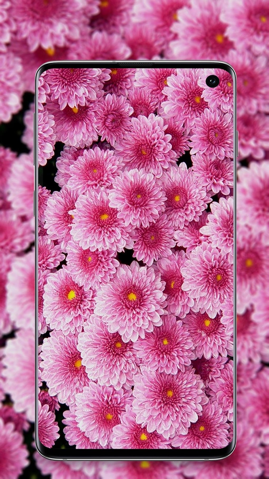 pink-wallpaper-for-android-download