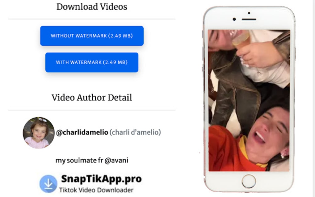 snaptik video downloader