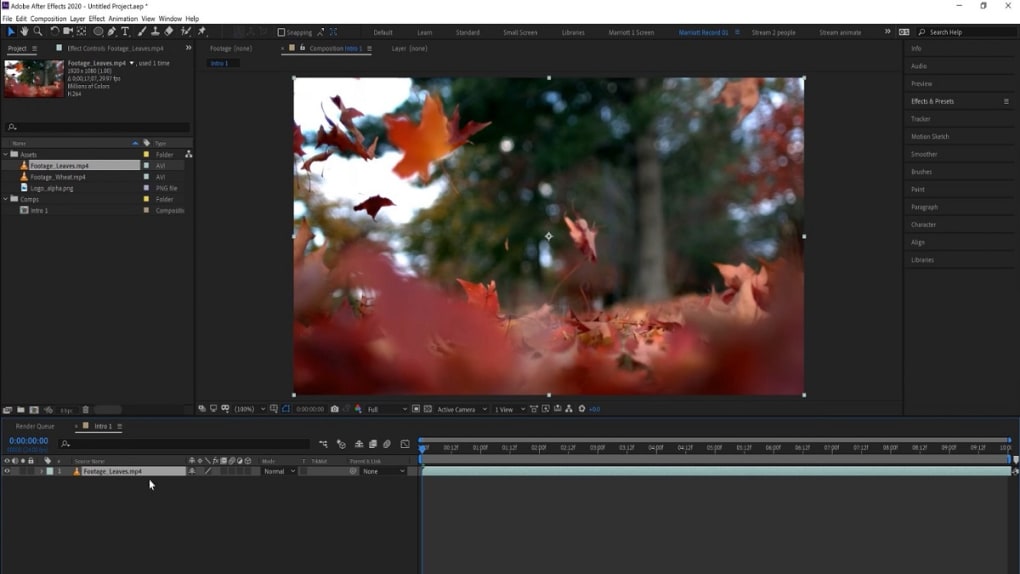adobe after effects 13.2 download mac